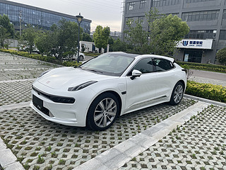 极氪001……四线城市购买的新能源电动车