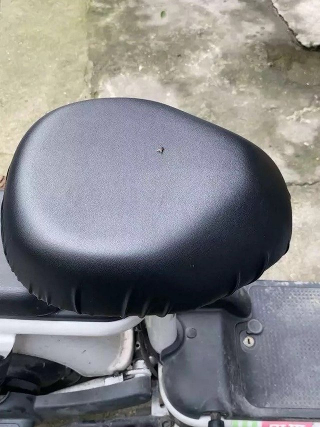 小电驴也要穿新衣