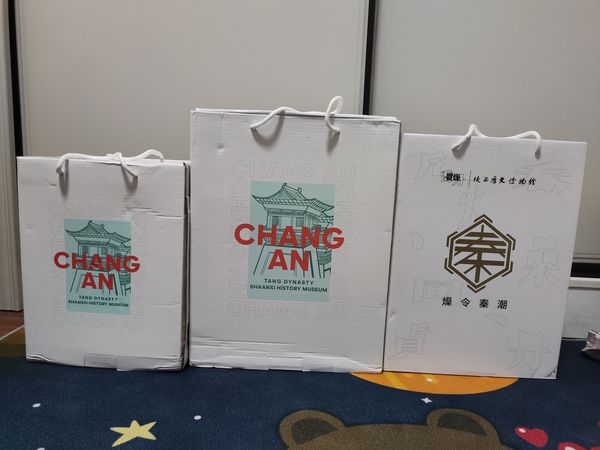 中乔v陕博联名款鞋