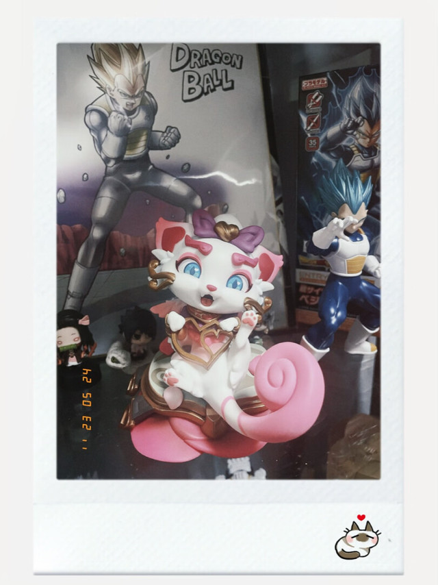 快递小哥很好，猫猫也好可爱