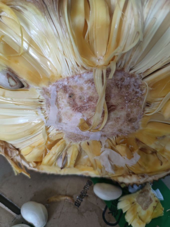 一岛一果其他水果