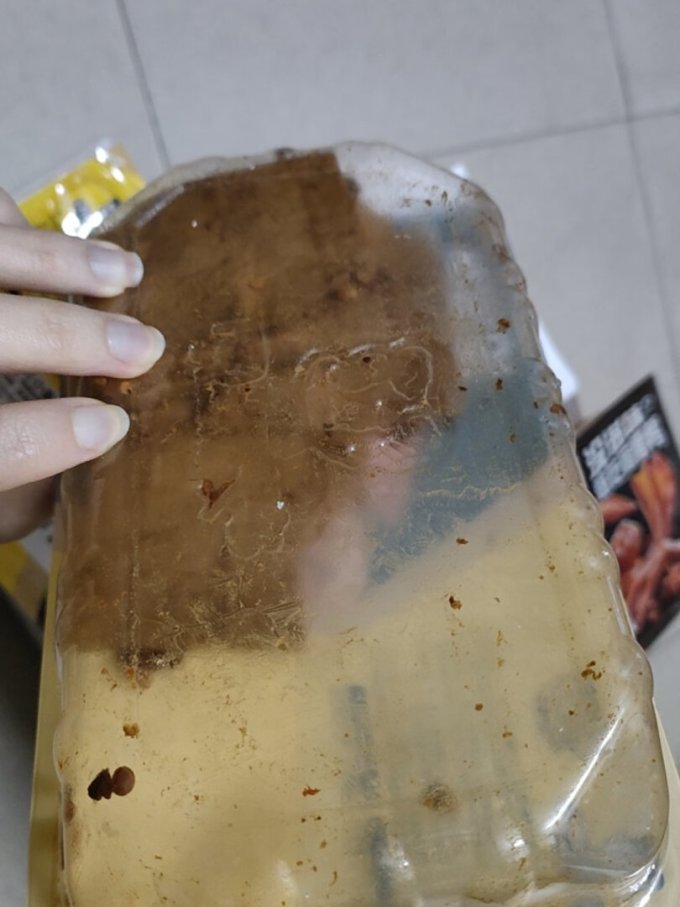 周黑鸭肉禽预制菜