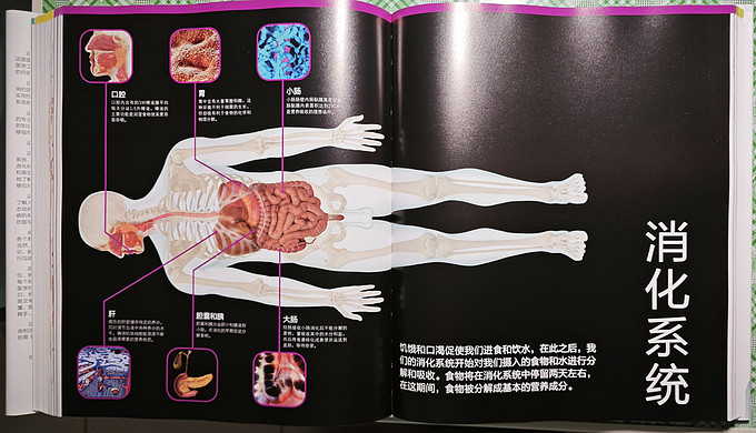 电子工业出版社科普/百科