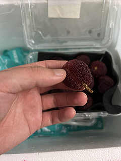 东哥家99元9件的水果还是这个杨梅最划算！