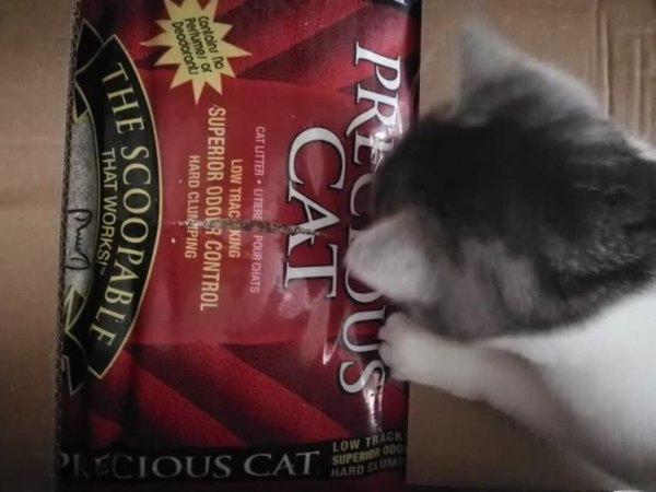 除臭效果：我是每天早晚铲屎的，闻不太到猫