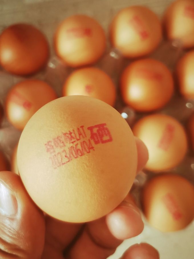 咯咯哒蛋类
