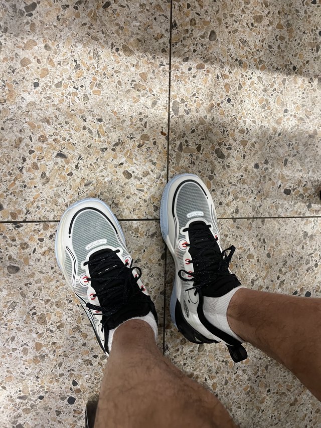 LI-NING 李宁驭帅16 V2 男子篮球鞋ABAT003-1 标准白/黑色41 【报价价格