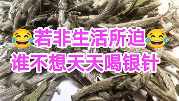 茶道人生 篇七：若非生活所迫，谁不想天天银针