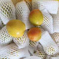 新疆特产——“白色蜂蜜”新疆小白杏