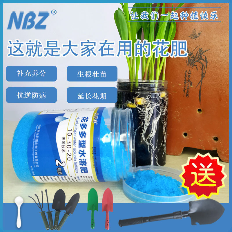 兰花好看，却不好伺候，凭着“6句口诀18个字”，妥妥视觉盛宴