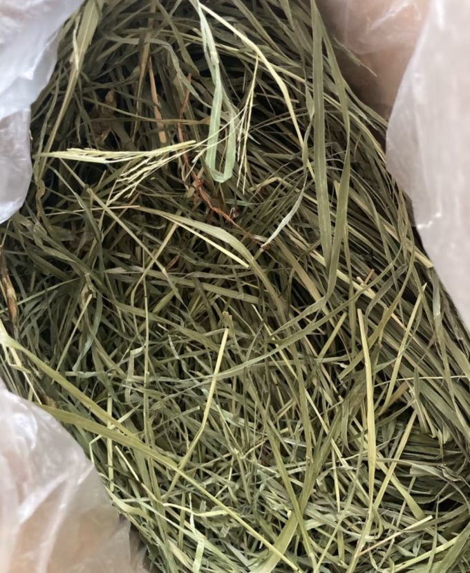 兔子粮