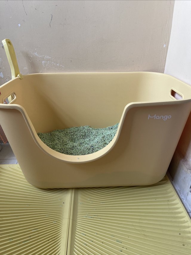 给猫咪换新猫砂盆咯~