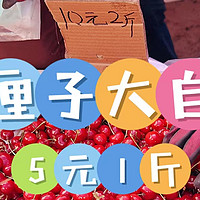 【大自由】天啊！樱桃🍒5块钱1斤!这几年见到最便宜的价格！