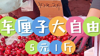 【大自由】天啊！樱桃🍒5块钱1斤!这几年见到最便宜的价格！
