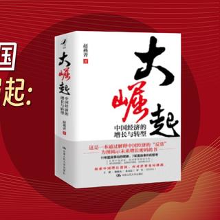 118元?一本小贵,分析中国经济成功原因的好书《大崛起:中国经济的增长与转型》