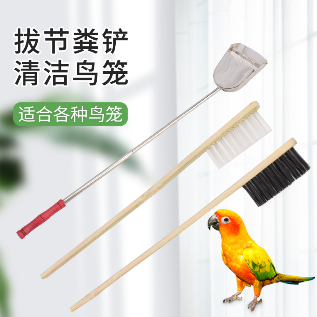 关于我想养鹦鹉的一些准备工作（鹦鹉品种选择+鹦鹉鸟粮+养护注意事项）