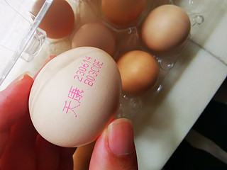 618鸡蛋也卷了