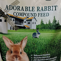 兔宝宝的口粮该怎么选？