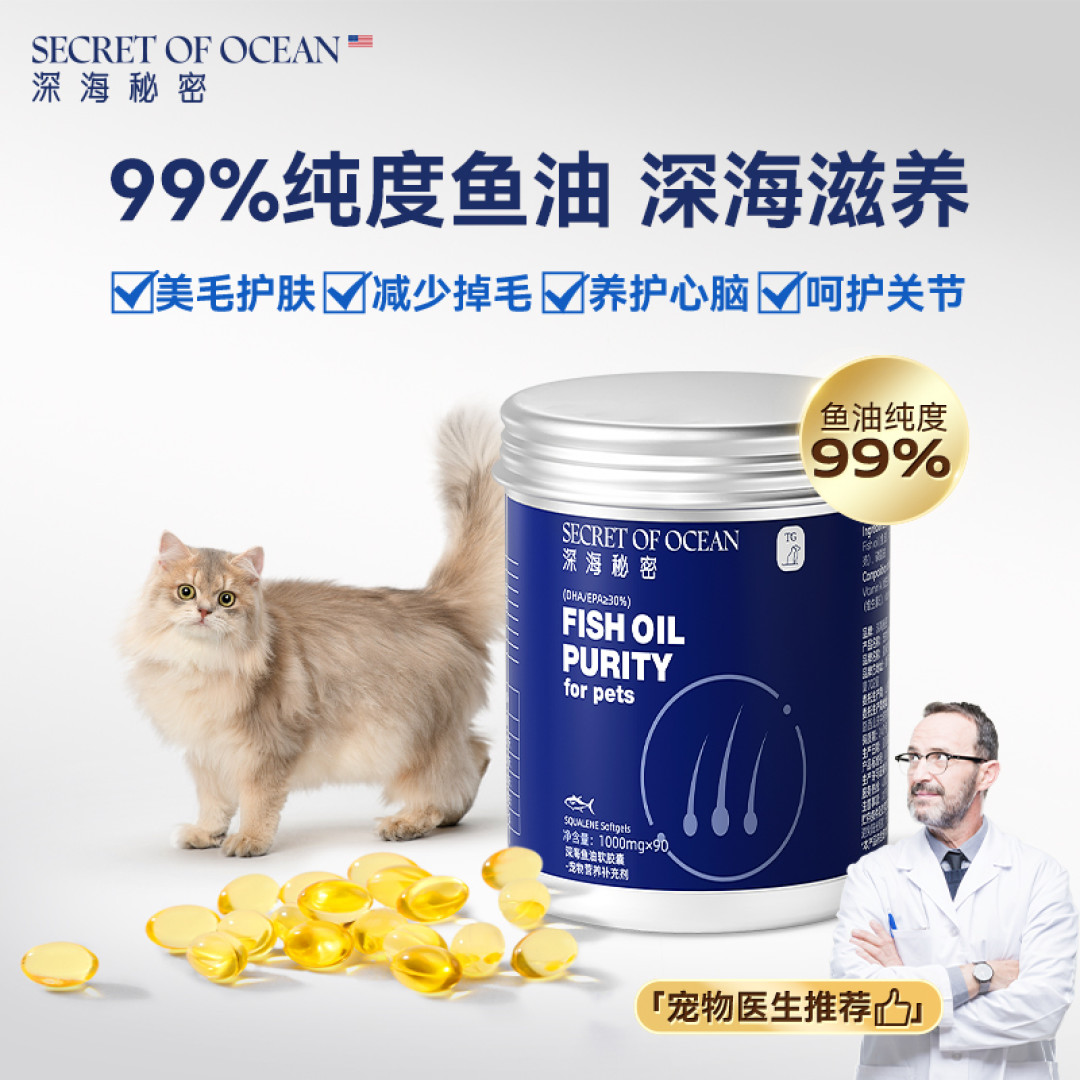 618你给猫主子买了哪些宠物用品?流浪猫吃什么?