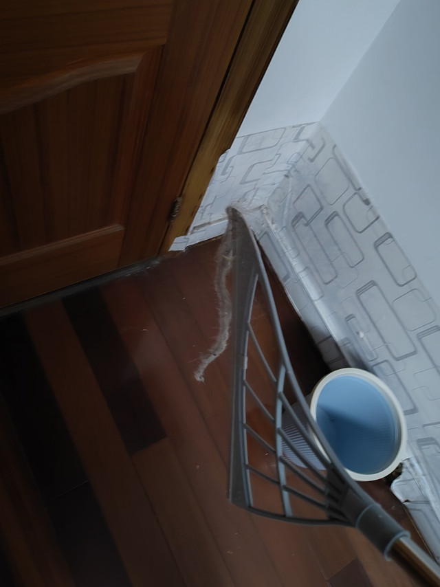 太惊喜了，跟一般扫把疯狂缠绕的猫毛在它面