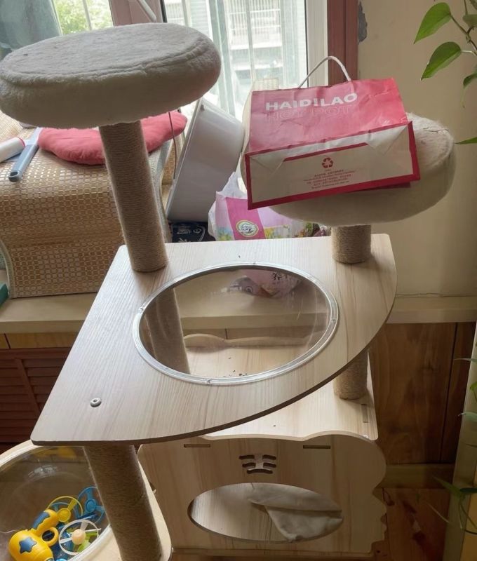 猫爬架