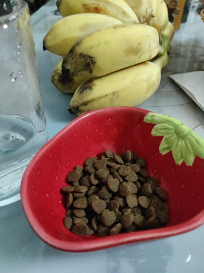 猫咪干粮