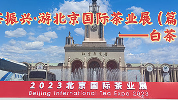 国茶振兴·游北京国际茶业展（篇二）——白茶