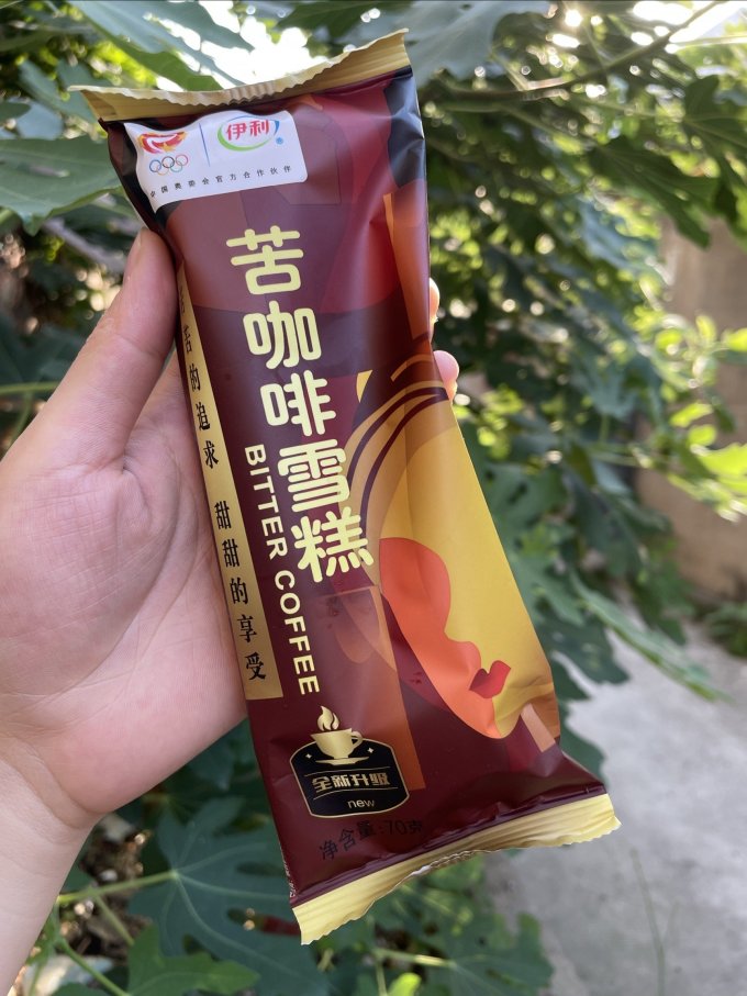 伊利冰淇淋/雪糕
