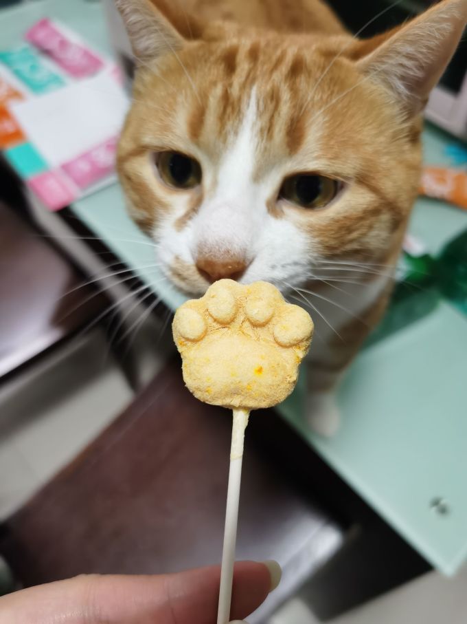 红狗狗狗零食