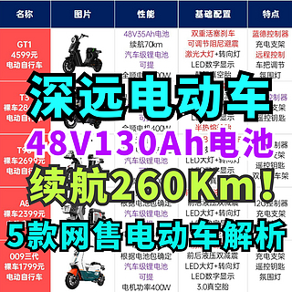 深远外卖神车来了！续航260km！5款深远网售电动车全面解析！外卖小哥送单首选！