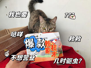 家里猫猫定期除虫好物