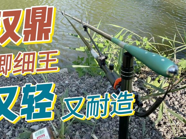 我买的第一根入门台钓竿