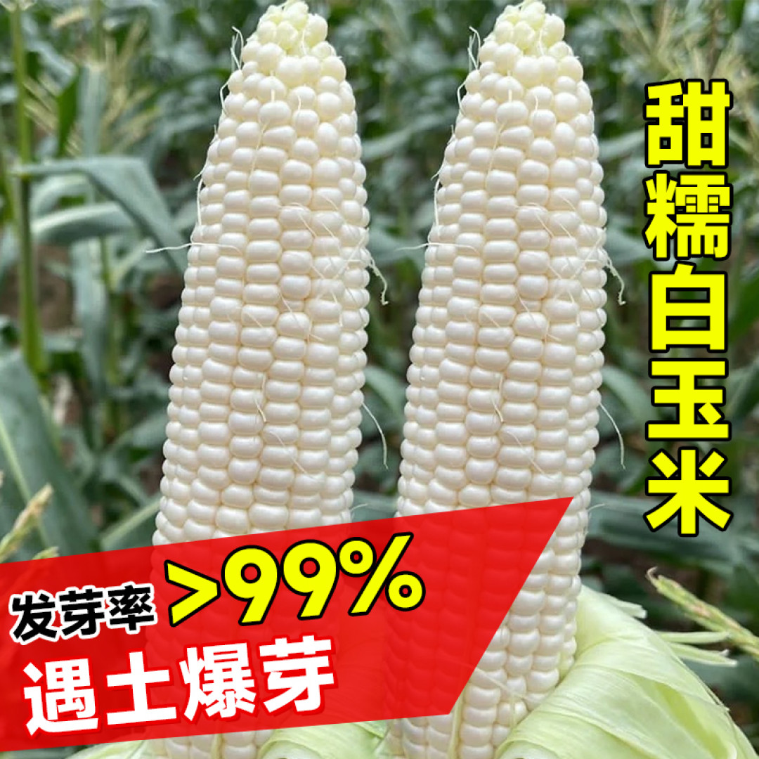 最回味，在城里吃不到的绿色蔬菜