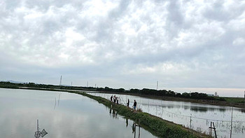 回味童年的快乐，小河塘里钓龙虾