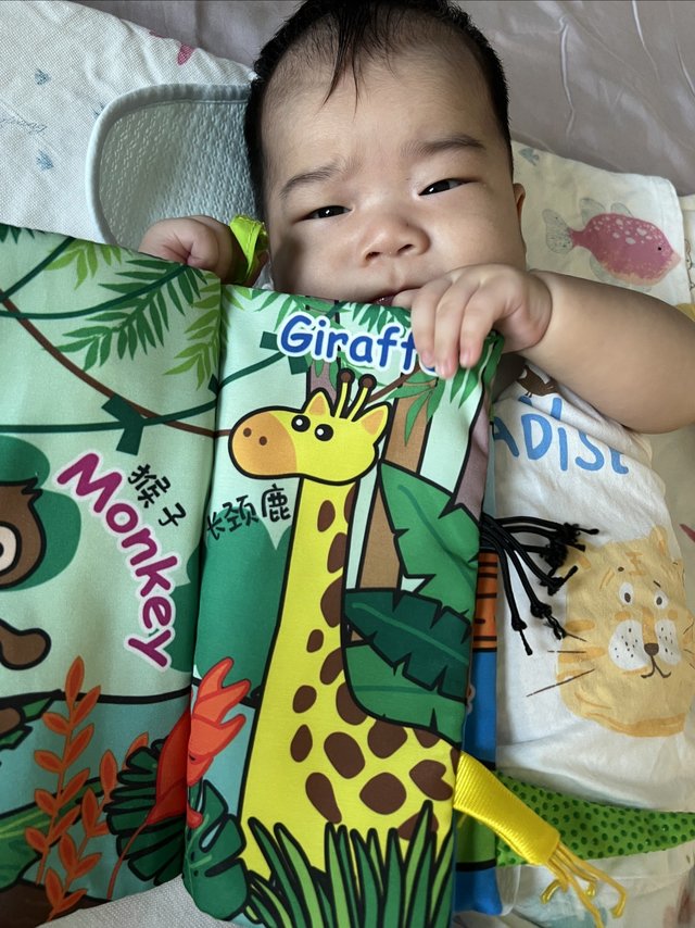 宝宝和妈妈都喜欢的尾巴布书