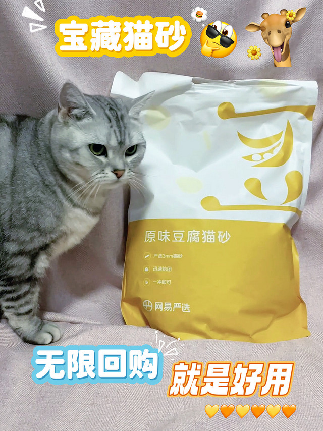 网易严选豆腐猫砂，主要是性价比还可以