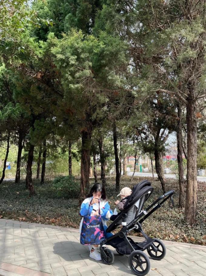 威易仕婴儿推车