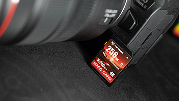 一次轻松拍摄7000张照片，达墨高性价比256GV60高速SD存储卡