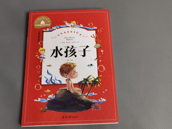 教孩子成为正直勇敢的人的《水孩子》