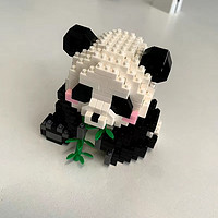 小熊猫啃竹子也太可爱了吧