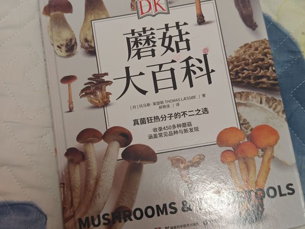 小孩子知道的蘑菇比我还多