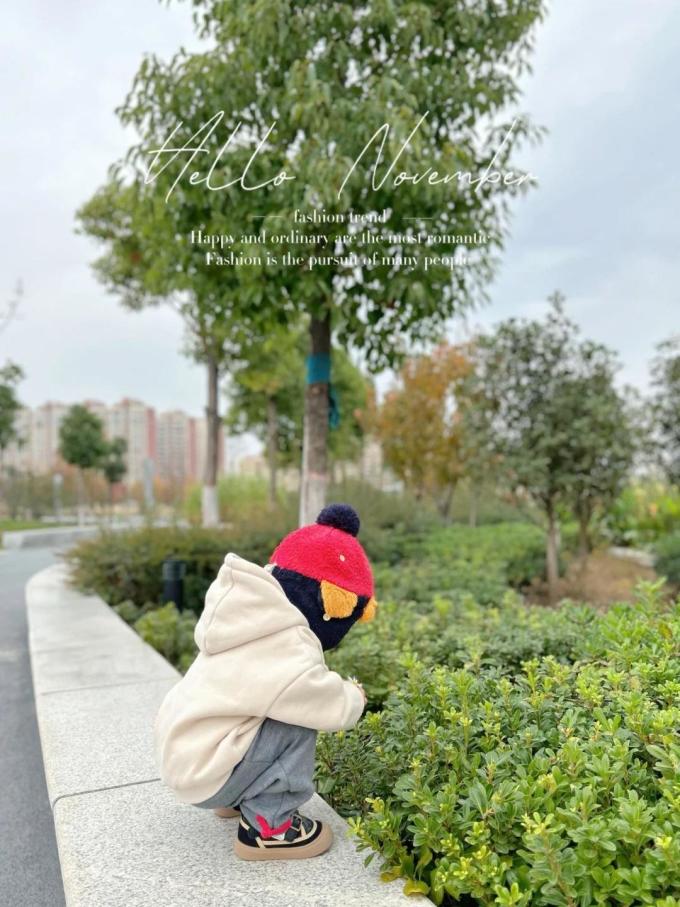 kk树童裤