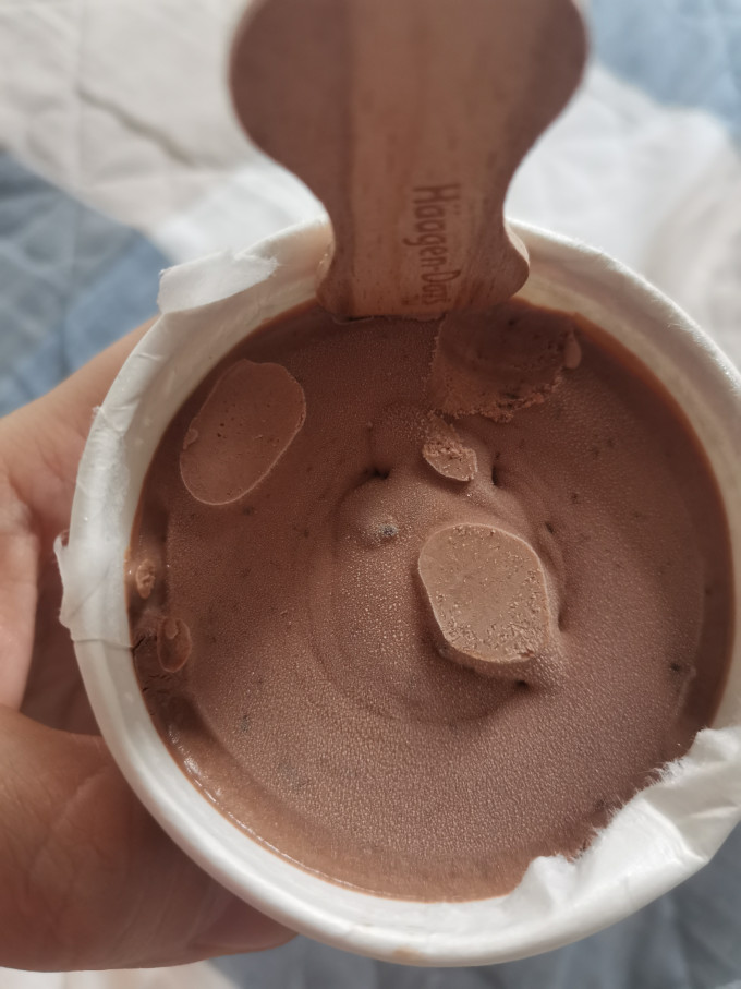 哈根达斯冰淇淋/雪糕