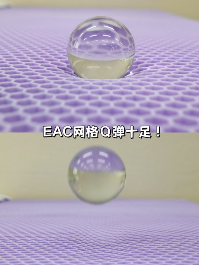 巢物床垫