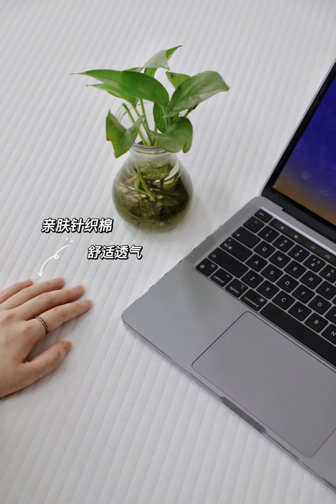 巢物床垫