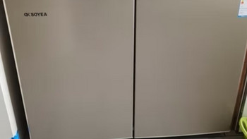 ​今天推荐索伊256升家用卧式冰箱 风冷无霜 电脑控温嵌入式橱柜对开门BCD-256WEM冰箱 
