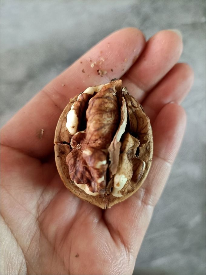 三只松鼠坚果炒货