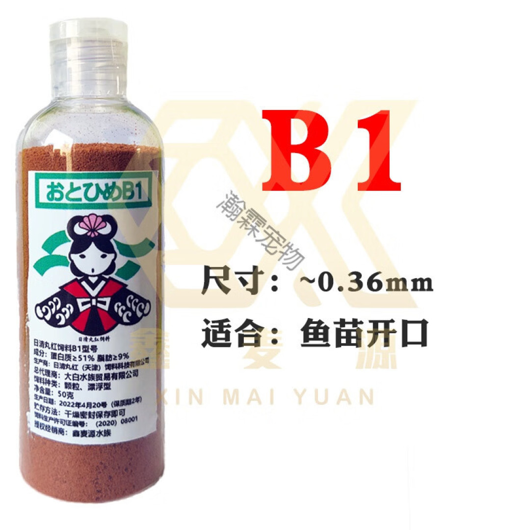 养孔雀鱼什么最重要?这5个最关键的你要知道,不然养不好