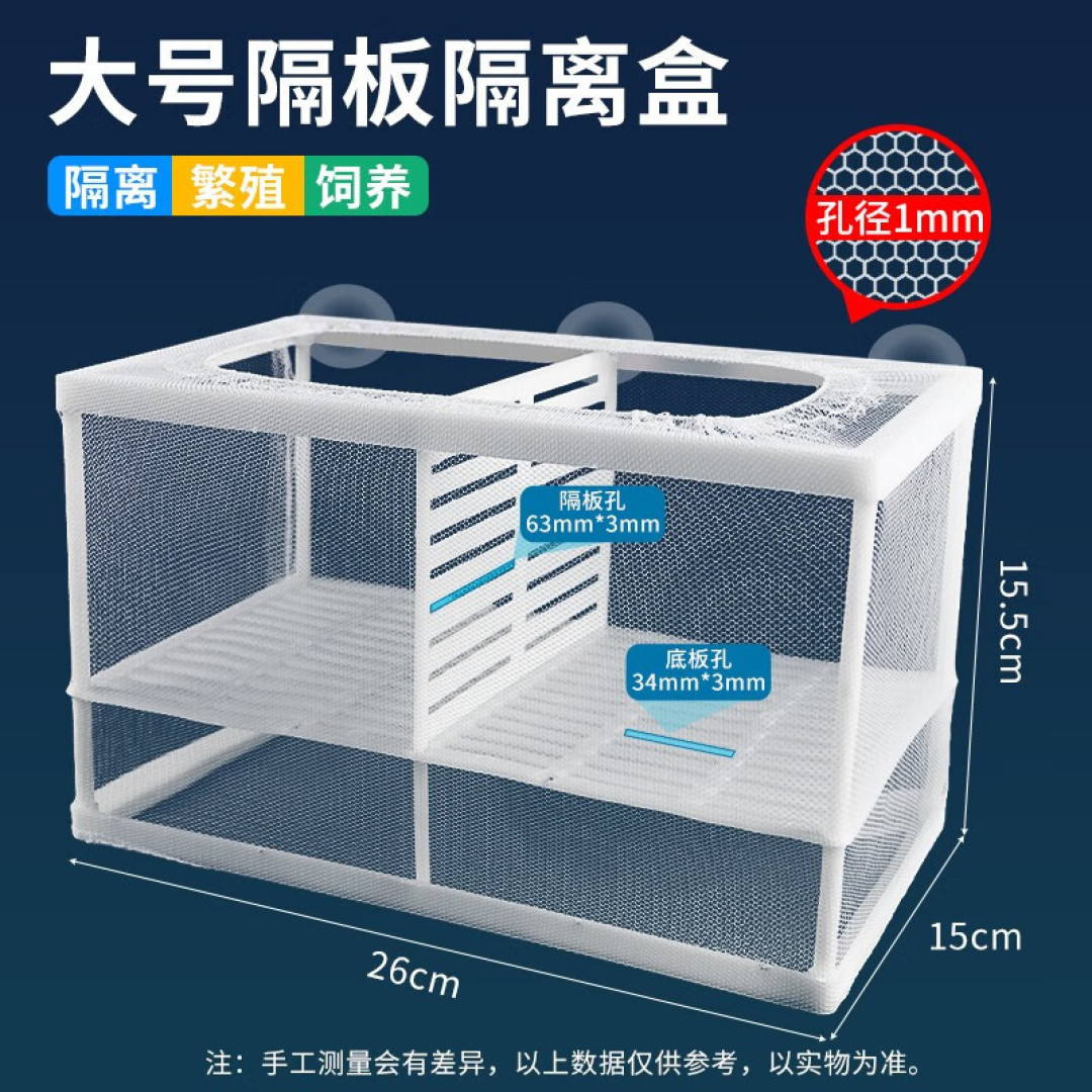 养孔雀鱼什么最重要?这5个最关键的你要知道,不然养不好