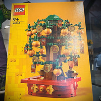 【好价！！！】LEGO乐高 40648 摇钱树